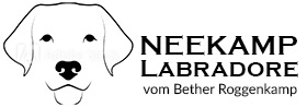 Neekamp Labradore Cloppenburg Logo